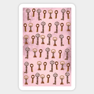 keys on pink floral wallpaper Sticker